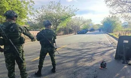 La Panamericana necesita seguridad permanente