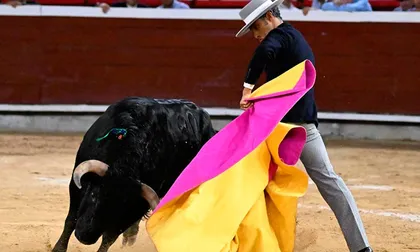 Lo que no se vio en Cañaveralejo el 29 de diciembre
