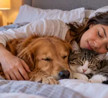 ¿Dormir con perros y gatos en la cama es peligroso? Estos son los beneficios y riesgos que debes conocer