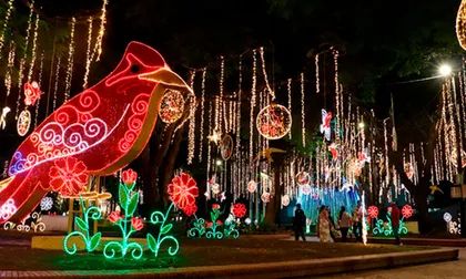 ¿No habrá alumbrados navideños este año en Colombia? Piden evitar luces ante riesgo de apagón
