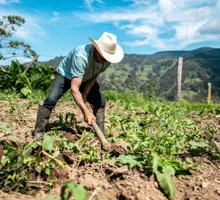 El Fenómeno de El Niño podría agregar hasta 3,26 puntos a la inflación en Colombia