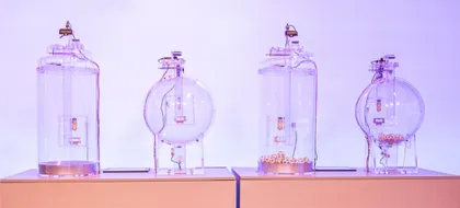 Imagen de  ¡Cayó el Baloto! Un afortunado se llevó $29.000 millones de pesos del superacumulado