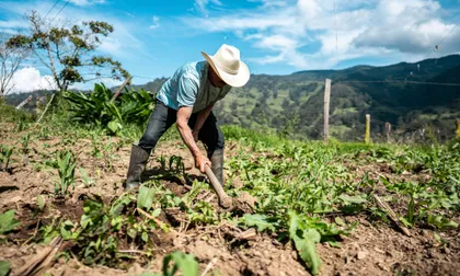 El Fenómeno de El Niño podría agregar hasta 3,26 puntos a la inflación en Colombia