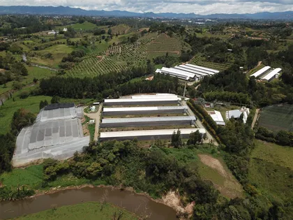 Imagen de  Kakaraka, empresa afiliada a la CEO: primera avícola del país certificada por el ICA en bienestar animal