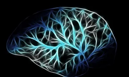 Optogenética: Qué es y por qué el Nobel de Medicina 2026 la reconoce