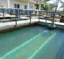 “Llamamos al uso racional de agua”