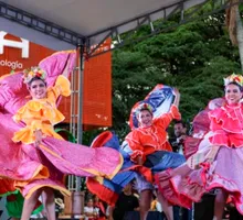 Estímulos Cali 2026: 141 propuestas ganadoras