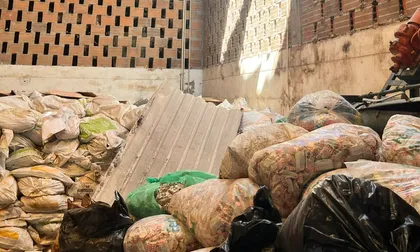 “Los animales no dan espera”: la batalla de José Arley Ríos para mantener vivo el campo después del terremoto