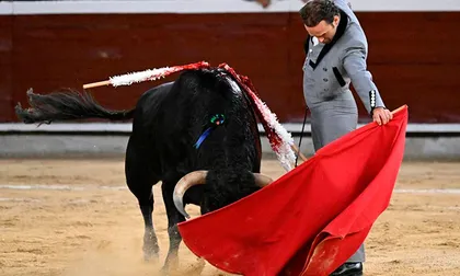 Así se vivió otra jornada en Cañaveralejo