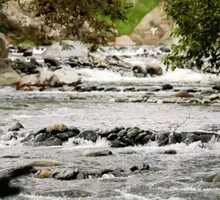 Valle refuerza protección a la biodiversidad