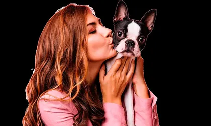 Adoptar es solo el primer paso: claves para ayudar a un perro a adaptarse a su nuevo hogar