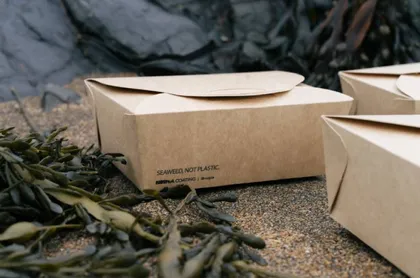 Imagen de Envases biodegradables hechos con algas: una alternativa al plástico