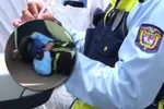 Imagen de Agredido un agente de tránsito en Itagüí durante un procedimiento vial