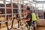 Imagen de El campo también se profesionaliza: Agrotech abre oportunidades para talento especializado en ganadería