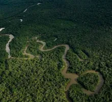 20 millones de euros para Amazonía colombiana