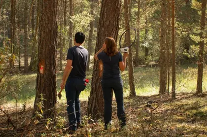 Invertir en la salud de los bosques para frenar el fuego y dar vida al mundo rural