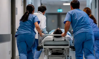 Virus que solo se detectaba en animales infectó por primera vez a un humano en Francia: el paciente murió