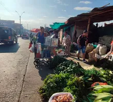 Campesinos desalojados en Operación Cristo Rey exigen soluciones a la Alcaldía de Cali