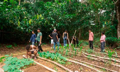 Control a plantas invasoras en la Amazonia