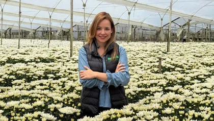 Imagen de  Día de la Madre activa el Plan Pétalo, la operación de flores que genera 240 000 empleos y exporta a 100 mercados