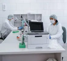 Estructura molecular que activa la germinación de C. difficile