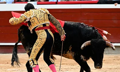 La persecución de los animalistas a la cultura y el sustento rural