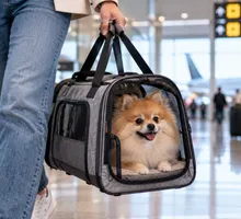Bolso para transportar perros: Cómo elegir el mejor